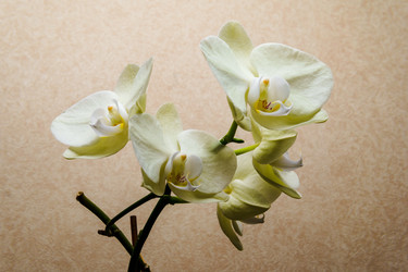 Similar image 22475452