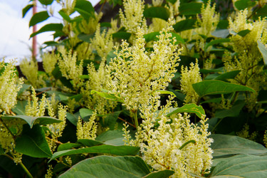 Similar image 22475453