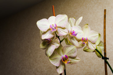 Similar image 22475454