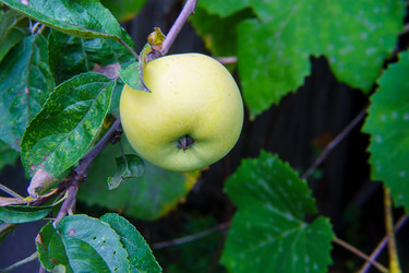 Similar image 22475455