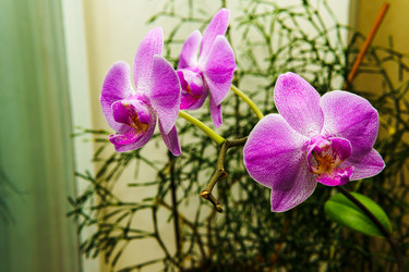 Similar image 22475457