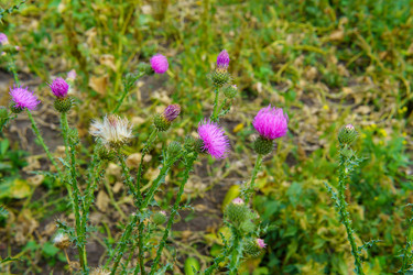 Similar image 22475459