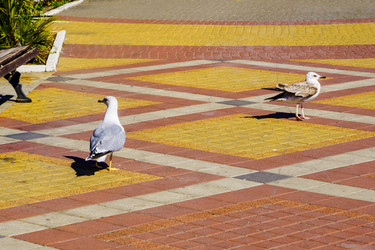 Similar image 22452599