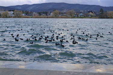 Similar image 22442484