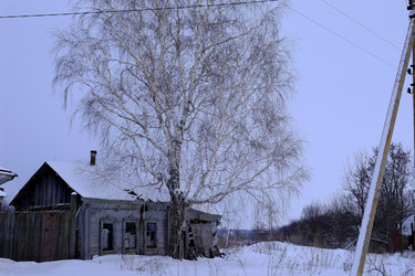 Similar image 22442485