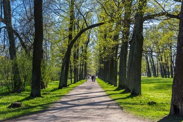 Similar image 22443504