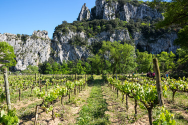 Similar image 22443505