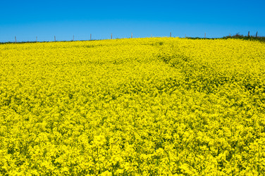 Similar image 22443518