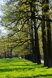 Similar image 22443521