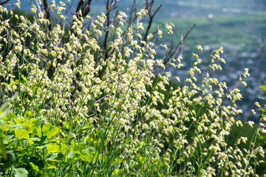 Similar image 22443531