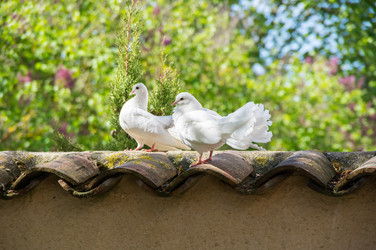 Similar image 22443534