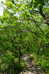 Similar image 22443546