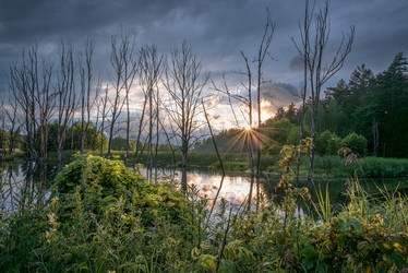 Similar image 22445562