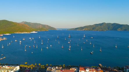 Similar image 22443994