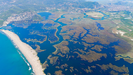 Similar image 22444053