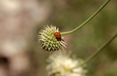 Similar image 22452297