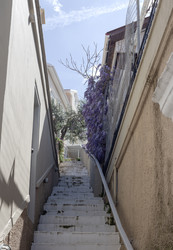 Similar image 22452298