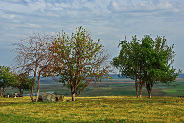 Similar image 22442631