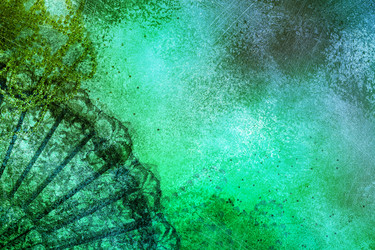 Similar image 22443937