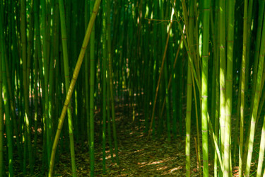 Similar image 22456637