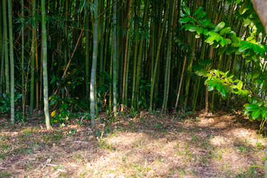 Similar image 22456638