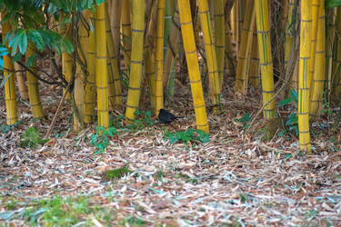 Similar image 22456639