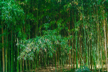 Similar image 22456640