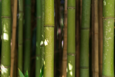 Similar image 22456651