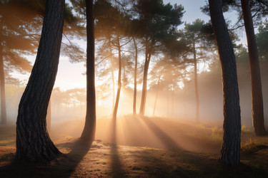 Similar image 22456653