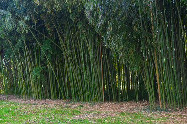 Similar image 22456654