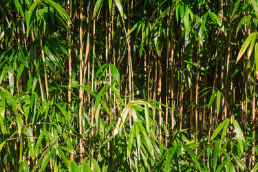 Similar image 22456655