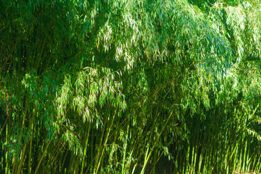 Similar image 22456656