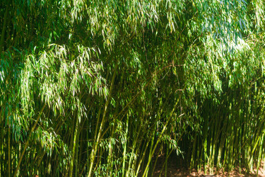 Similar image 22456660