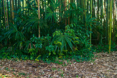 Similar image 22456662