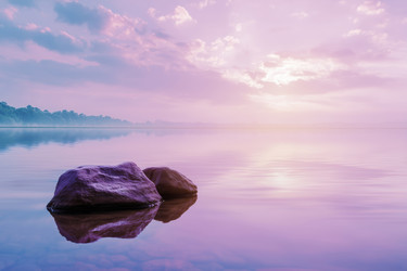 Similar image 22456663