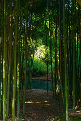 Similar image 22456664