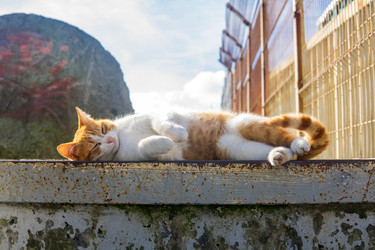 Similar image 22456669