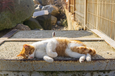 Similar image 22456670