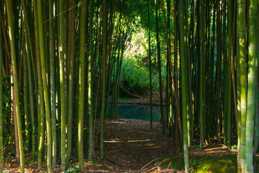 Similar image 22456671