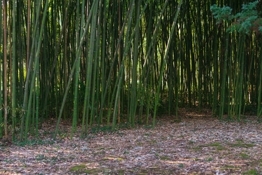 Similar image 22456672