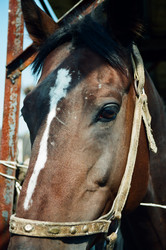 Similar image 22442508