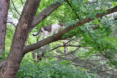 Similar image 22452339