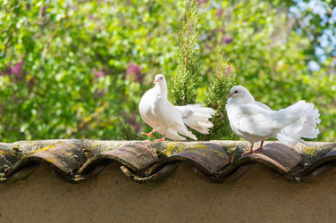 Similar image 22454073