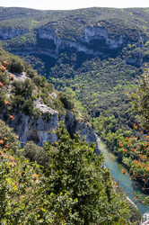 Similar image 22454080