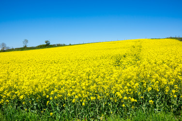 Similar image 22454090