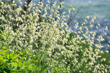 Similar image 22454093