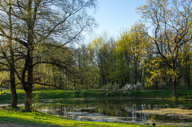 Similar image 22454094