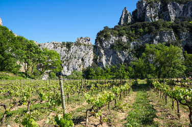 Similar image 22454103