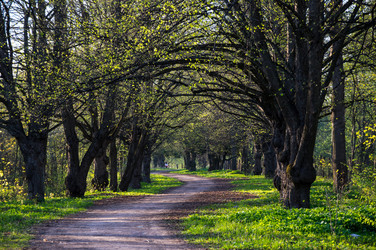 Similar image 22454113