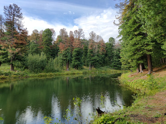 Similar image 22454562